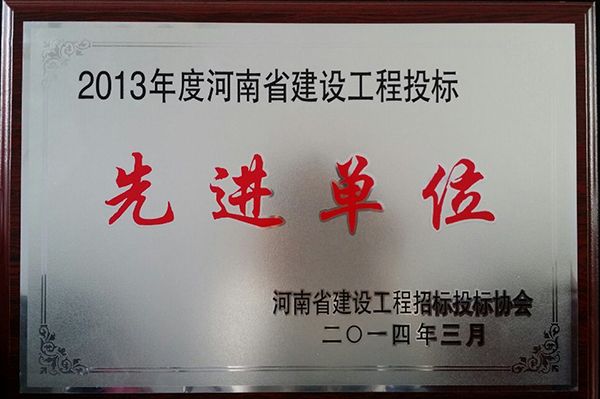 2013年度省先 進投標(biāo)單位